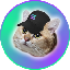 CatSolHat icon
