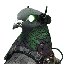 PJN icon